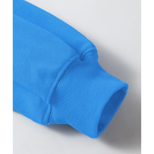 Sky Blue Solid Color Drop Shoulder Long Sleeve Basic Sweatshirt